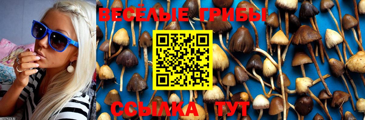 Псилоцибиновые грибы MAGIC MUSHROOMS  Вход с VPN  Шарыпово 