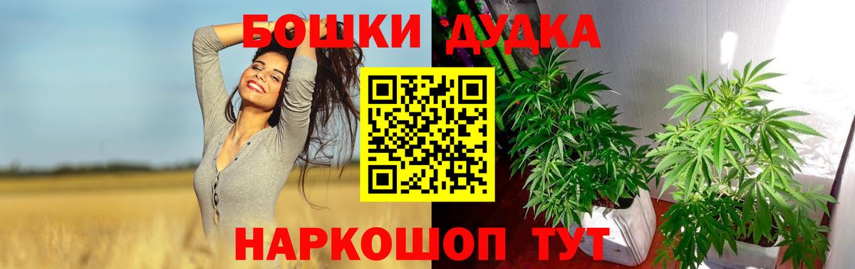 Канабис конопля Шарыпово